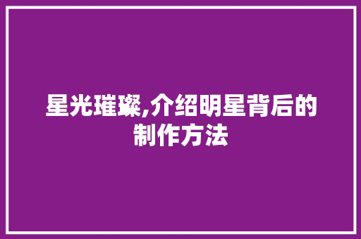 星光璀璨,介绍明星背后的制作方法