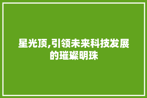 星光顶,引领未来科技发展的璀璨明珠 SEO教程