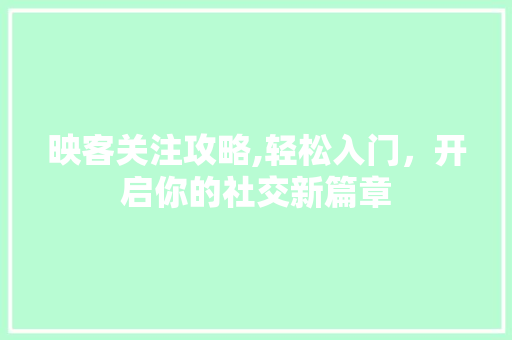 映客关注攻略,轻松入门，开启你的社交新篇章 WordPress教程