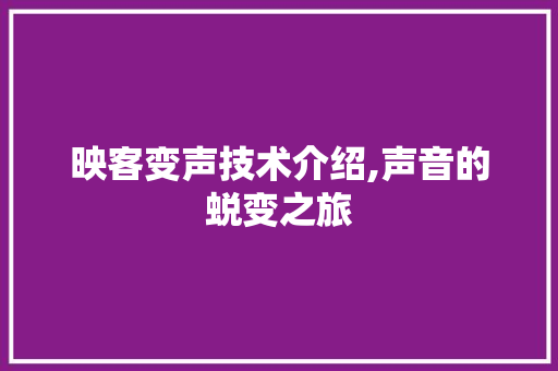 映客变声技术介绍,声音的蜕变之旅 Web前端