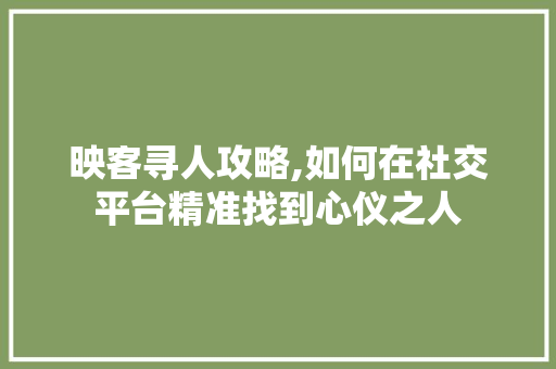 映客寻人攻略,如何在社交平台精准找到心仪之人 SEO教程