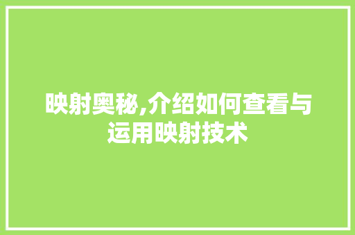 映射奥秘,介绍如何查看与运用映射技术