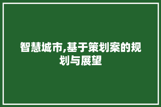 智慧城市,基于策划案的规划与展望