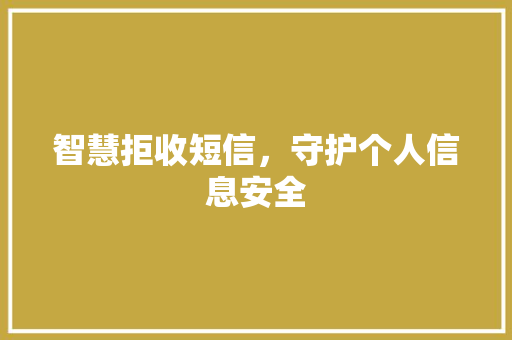 智慧拒收短信，守护个人信息安全