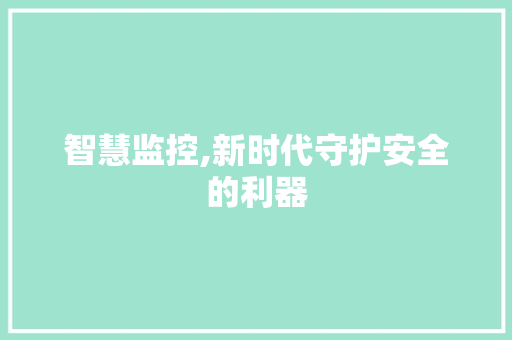 智慧监控,新时代守护安全的利器