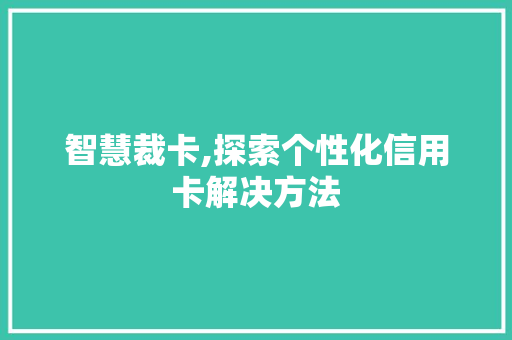 智慧裁卡,探索个性化信用卡解决方法 建站教程