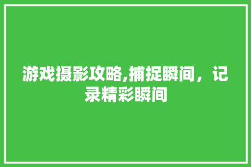 游戏摄影攻略,捕捉瞬间，记录精彩瞬间 建站教程