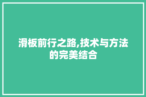 滑板前行之路,技术与方法的完美结合