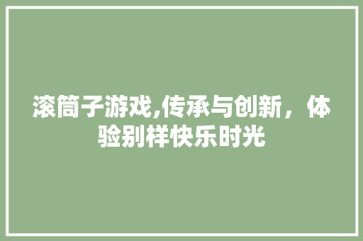 滚筒子游戏,传承与创新，体验别样快乐时光