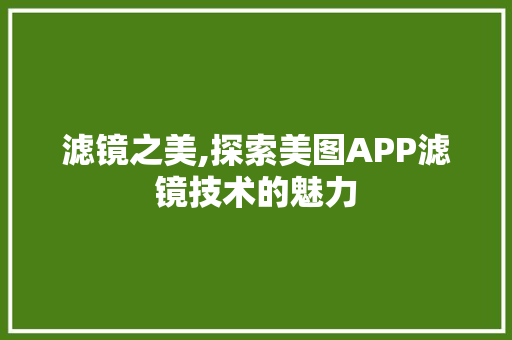 滤镜之美,探索美图APP滤镜技术的魅力
