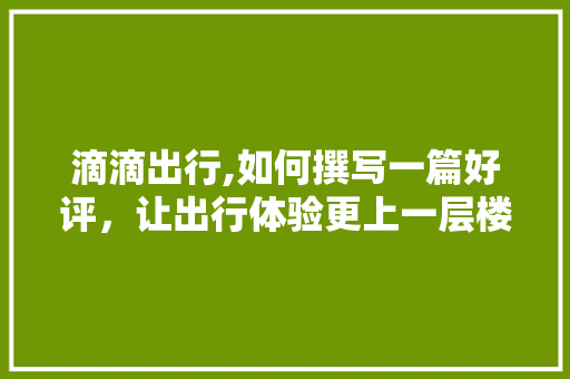 滴滴出行,如何撰写一篇好评，让出行体验更上一层楼