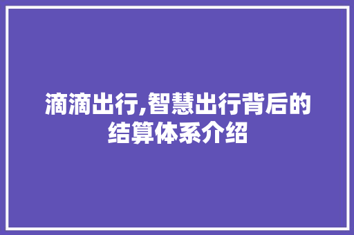 滴滴出行,智慧出行背后的结算体系介绍