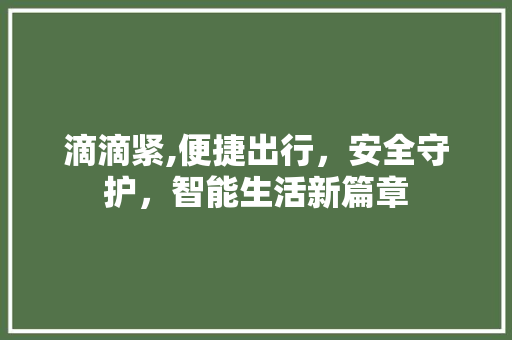 滴滴紧,便捷出行，安全守护，智能生活新篇章 SEO教程