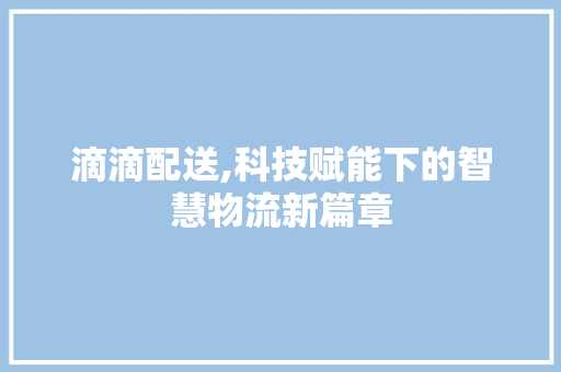 滴滴配送,科技赋能下的智慧物流新篇章