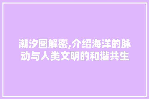 潮汐图解密,介绍海洋的脉动与人类文明的和谐共生