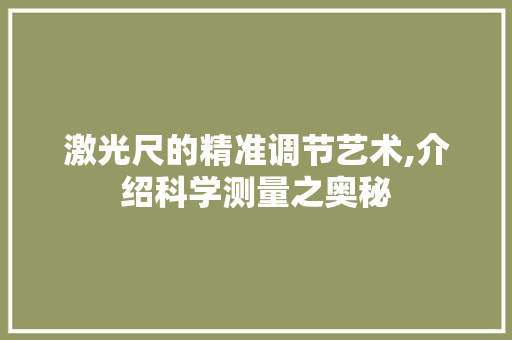激光尺的精准调节艺术,介绍科学测量之奥秘