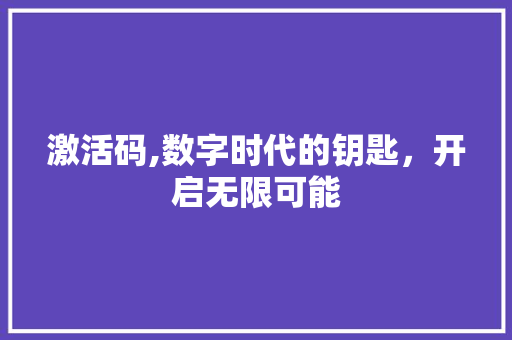激活码,数字时代的钥匙，开启无限可能