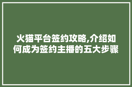 火猫平台签约攻略,介绍如何成为签约主播的五大步骤