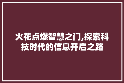火花点燃智慧之门,探索科技时代的信息开启之路