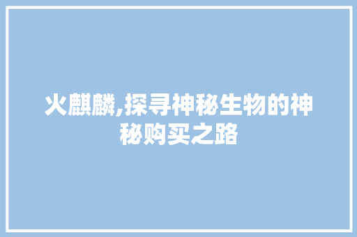 火麒麟,探寻神秘生物的神秘购买之路