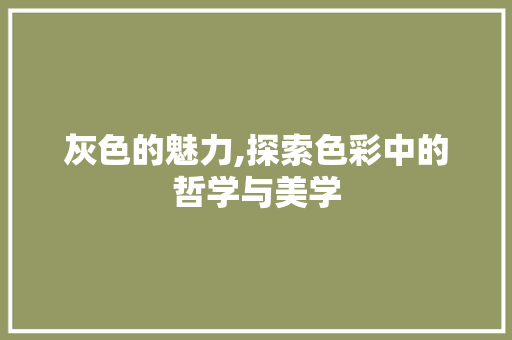 灰色的魅力,探索色彩中的哲学与美学 WordPress教程
