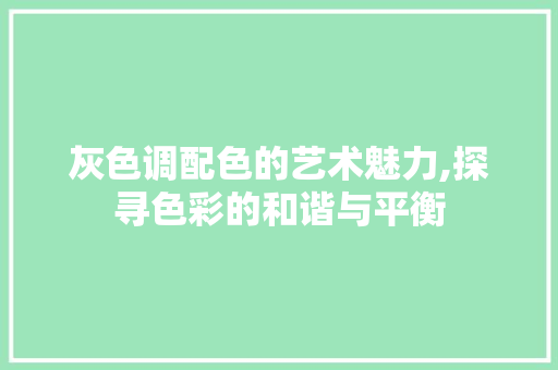 灰色调配色的艺术魅力,探寻色彩的和谐与平衡 WordPress教程
