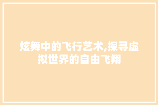 炫舞中的飞行艺术,探寻虚拟世界的自由飞翔