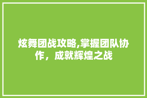 炫舞团战攻略,掌握团队协作，成就辉煌之战