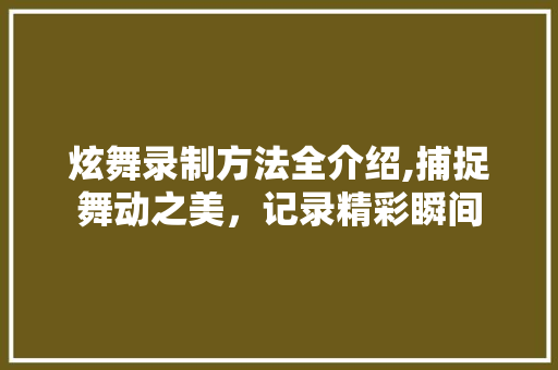 炫舞录制方法全介绍,捕捉舞动之美，记录精彩瞬间 服务器/数据库