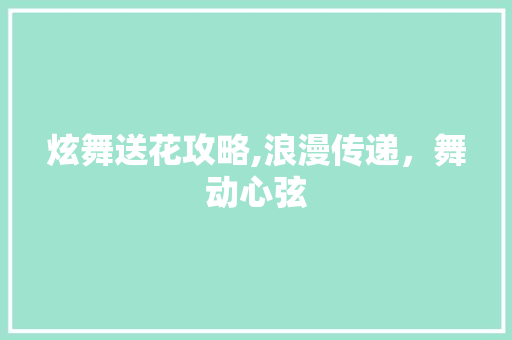 炫舞送花攻略,浪漫传递，舞动心弦 WordPress教程