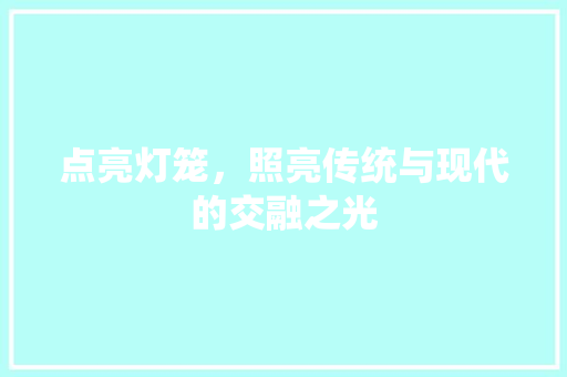 点亮灯笼，照亮传统与现代的交融之光 SEO教程