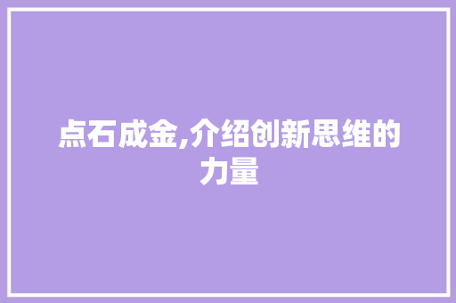 点石成金,介绍创新思维的力量 WordPress教程