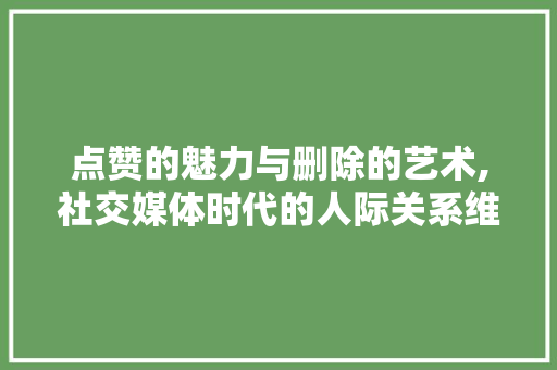 点赞的魅力与删除的艺术,社交媒体时代的人际关系维护 建站教程
