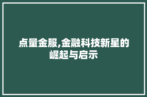 点量金服,金融科技新星的崛起与启示 友链在线