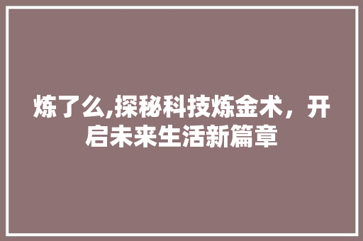 炼了么,探秘科技炼金术，开启未来生活新篇章 建站教程