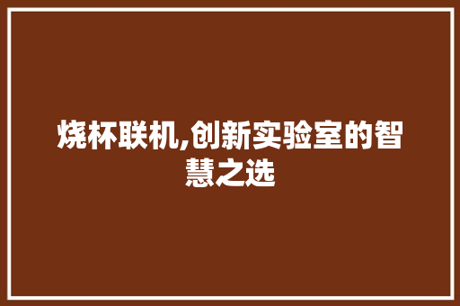 烧杯联机,创新实验室的智慧之选 WordPress教程