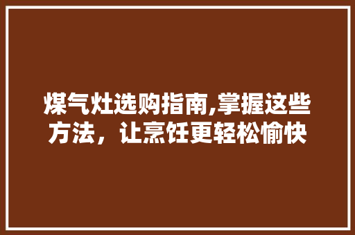 煤气灶选购指南,掌握这些方法，让烹饪更轻松愉快