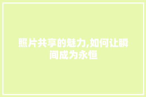 照片共享的魅力,如何让瞬间成为永恒