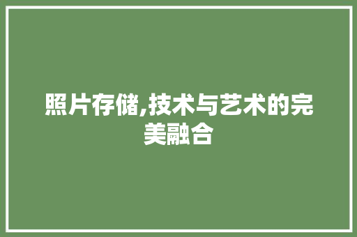 照片存储,技术与艺术的完美融合