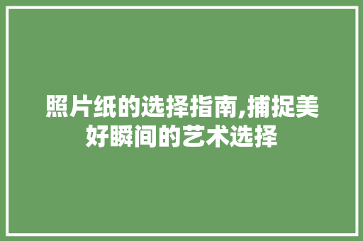 照片纸的选择指南,捕捉美好瞬间的艺术选择