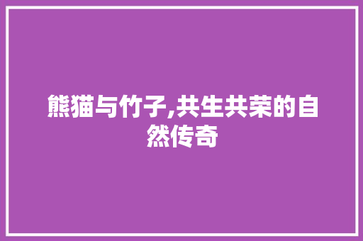 熊猫与竹子,共生共荣的自然传奇