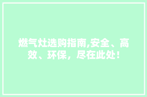燃气灶选购指南,安全、高效、环保，尽在此处！ SEO教程