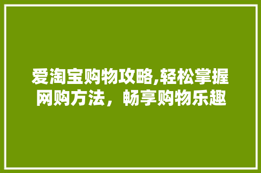 爱淘宝购物攻略,轻松掌握网购方法，畅享购物乐趣 WordPress教程