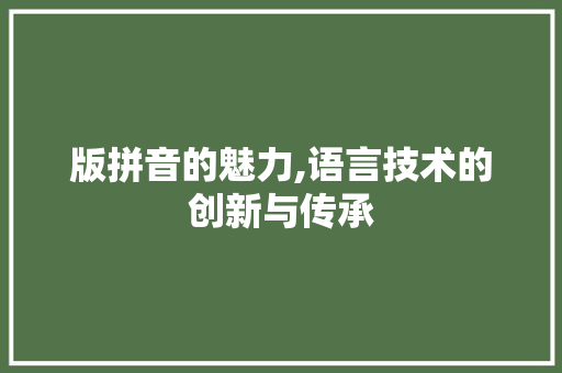 版拼音的魅力,语言技术的创新与传承