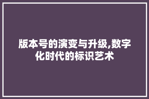 版本号的演变与升级,数字化时代的标识艺术