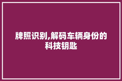 牌照识别,解码车辆身份的科技钥匙