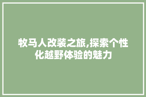 牧马人改装之旅,探索个性化越野体验的魅力