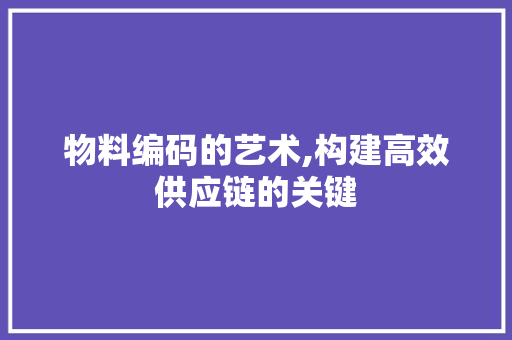 物料编码的艺术,构建高效供应链的关键