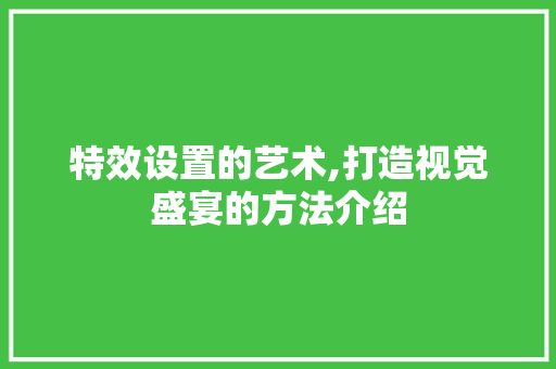 特效设置的艺术,打造视觉盛宴的方法介绍
