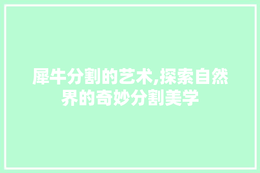 犀牛分割的艺术,探索自然界的奇妙分割美学